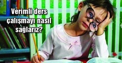 Eğitim koçluğu