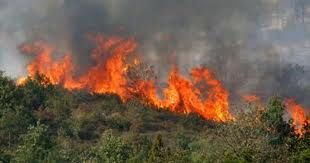 18.09.2012 haber 1 resim