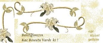 boyut